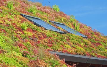 Bringsty Common living roof systems