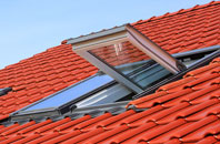 Bringsty Common roof window
