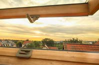 rated Bringsty Common roof window companies